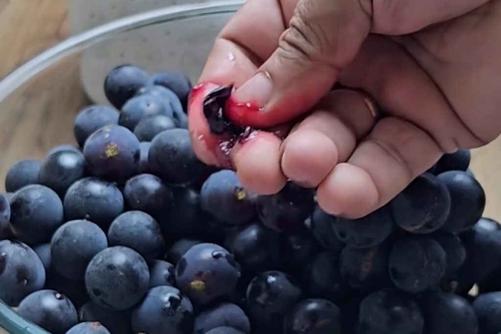 Home fingersquish 3x2